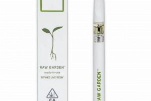 Raw Garden Disposable: Best Price &amp; Quality Guide | The Ultimate Gardening Guide: Grow a Thriving Garden Year-Round