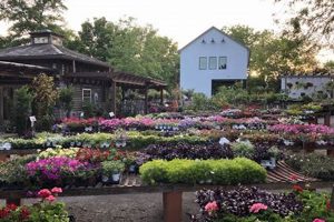 Frisco Home & Garden Show: Your Design Oasis | The Ultimate Gardening Guide: Grow a Thriving Garden Year-Round