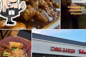 Discover Ching Garden Secrets: Design & Tips | The Ultimate Gardening Guide: Grow a Thriving Garden Year-Round