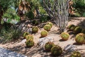 Discover: Faye Sarkowsky Sculpture Garden - Art & Nature | The Ultimate Gardening Guide: Grow a Thriving Garden Year-Round