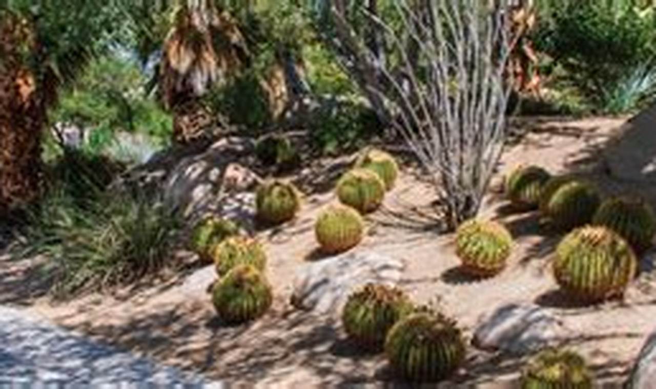 Discover: Faye Sarkowsky Sculpture Garden - Art & Nature | The Ultimate Gardening Guide: Grow a Thriving Garden Year-Round