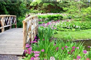 Explore Leonard J Buck Garden NJ: A Horticultural Gem | The Ultimate Gardening Guide: Grow a Thriving Garden Year-Round