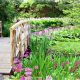 Explore Leonard J Buck Garden NJ: A Horticultural Gem | The Ultimate Gardening Guide: Grow a Thriving Garden Year-Round