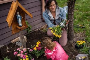 Guide: Planting Mary's Garden Info Graphics &amp; Tips | The Ultimate Gardening Guide: Grow a Thriving Garden Year-Round