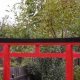 Elevate Your Garden: A Torii Gate for Serenity | The Ultimate Gardening Guide: Grow a Thriving Garden Year-Round