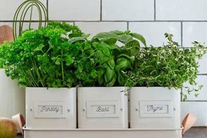Grow Fresh: Indoor Herb Garden Pots Guide & Ideas | The Ultimate Gardening Guide: Grow a Thriving Garden Year-Round
