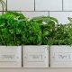 Grow Fresh: Indoor Herb Garden Pots Guide & Ideas | The Ultimate Gardening Guide: Grow a Thriving Garden Year-Round