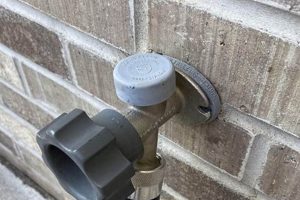 Easy Garden Spigot Replacement: Steps & Tips! | The Ultimate Gardening Guide: Grow a Thriving Garden Year-Round