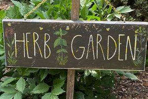 Best Sign for Garden Ideas: Garden Signs & More! | The Ultimate Gardening Guide: Grow a Thriving Garden Year-Round