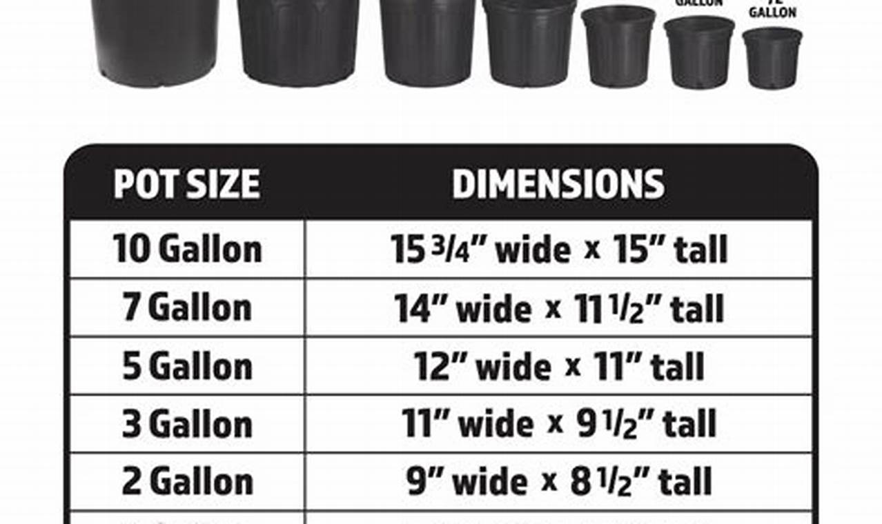 Best 7 Gallon Garden Pots: Grow Bigger & Bloom Better The Ultimate Gardening Guide: Grow a Thriving Garden Year-Round Best 7 Gallon Garden Pots: Grow Bigger & Bloom Better | The Ultimate Gardening Guide: Grow a Thriving Garden Year-Round