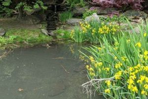 Discover Glendinning Rock Garden: A Breathtaking Gem! The Ultimate Gardening Guide: Grow a Thriving Garden Year-Round Discover Glendinning Rock Garden: A Breathtaking Gem! | The Ultimate Gardening Guide: Grow a Thriving Garden Year-Round