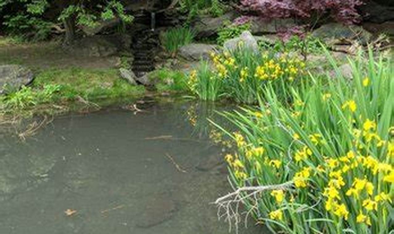 Discover Glendinning Rock Garden: A Breathtaking Gem! The Ultimate Gardening Guide: Grow a Thriving Garden Year-Round Discover Glendinning Rock Garden: A Breathtaking Gem! | The Ultimate Gardening Guide: Grow a Thriving Garden Year-Round