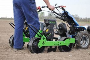 Best Garden Seed Planters: Tools & Tips! The Ultimate Gardening Guide: Grow a Thriving Garden Year-Round Best Garden Seed Planters: Tools & Tips! | The Ultimate Gardening Guide: Grow a Thriving Garden Year-Round