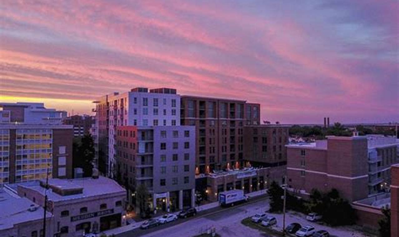 Discover: Sky Garden Charleston Oasis Guide The Ultimate Gardening Guide: Grow a Thriving Garden Year-Round Discover: Sky Garden Charleston Oasis Guide | The Ultimate Gardening Guide: Grow a Thriving Garden Year-Round