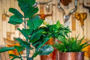 Elevate Your Garden: Beautiful Copper Garden Pots For Sale The Ultimate Gardening Guide: Grow a Thriving Garden Year-Round Elevate Your Garden: Beautiful Copper Garden Pots For Sale | The Ultimate Gardening Guide: Grow a Thriving Garden Year-Round