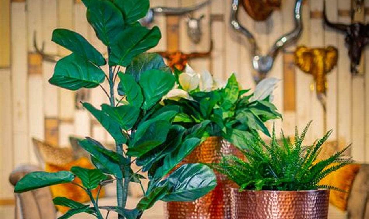 Elevate Your Garden: Beautiful Copper Garden Pots For Sale The Ultimate Gardening Guide: Grow a Thriving Garden Year-Round Elevate Your Garden: Beautiful Copper Garden Pots For Sale | The Ultimate Gardening Guide: Grow a Thriving Garden Year-Round