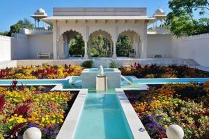 Is a Garden Persian Right for You? [Care Tips] | The Ultimate Gardening Guide: Grow a Thriving Garden Year-Round
