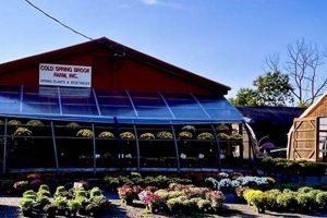 Unearthing Garden's Dream Cromwell: History in Bloom The Ultimate Gardening Guide: Grow a Thriving Garden Year-Round Unearthing Garden's Dream Cromwell: History in Bloom | The Ultimate Gardening Guide: Grow a Thriving Garden Year-Round