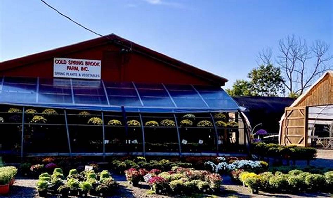 Unearthing Garden's Dream Cromwell: History in Bloom The Ultimate Gardening Guide: Grow a Thriving Garden Year-Round Unearthing Garden's Dream Cromwell: History in Bloom | The Ultimate Gardening Guide: Grow a Thriving Garden Year-Round