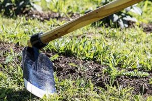 Best Garden Digging Tools: Tips & Guide The Ultimate Gardening Guide: Grow a Thriving Garden Year-Round Best Garden Digging Tools: Tips & Guide | The Ultimate Gardening Guide: Grow a Thriving Garden Year-Round