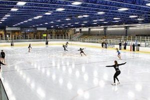 Skate at Parade Ice Garden Minneapolis: Your Guide | The Ultimate Gardening Guide: Grow a Thriving Garden Year-Round