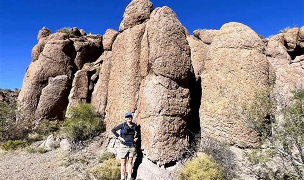 Discover the Monolith Garden Trail: A Natural Haven | The Ultimate Gardening Guide: Grow a Thriving Garden Year-Round