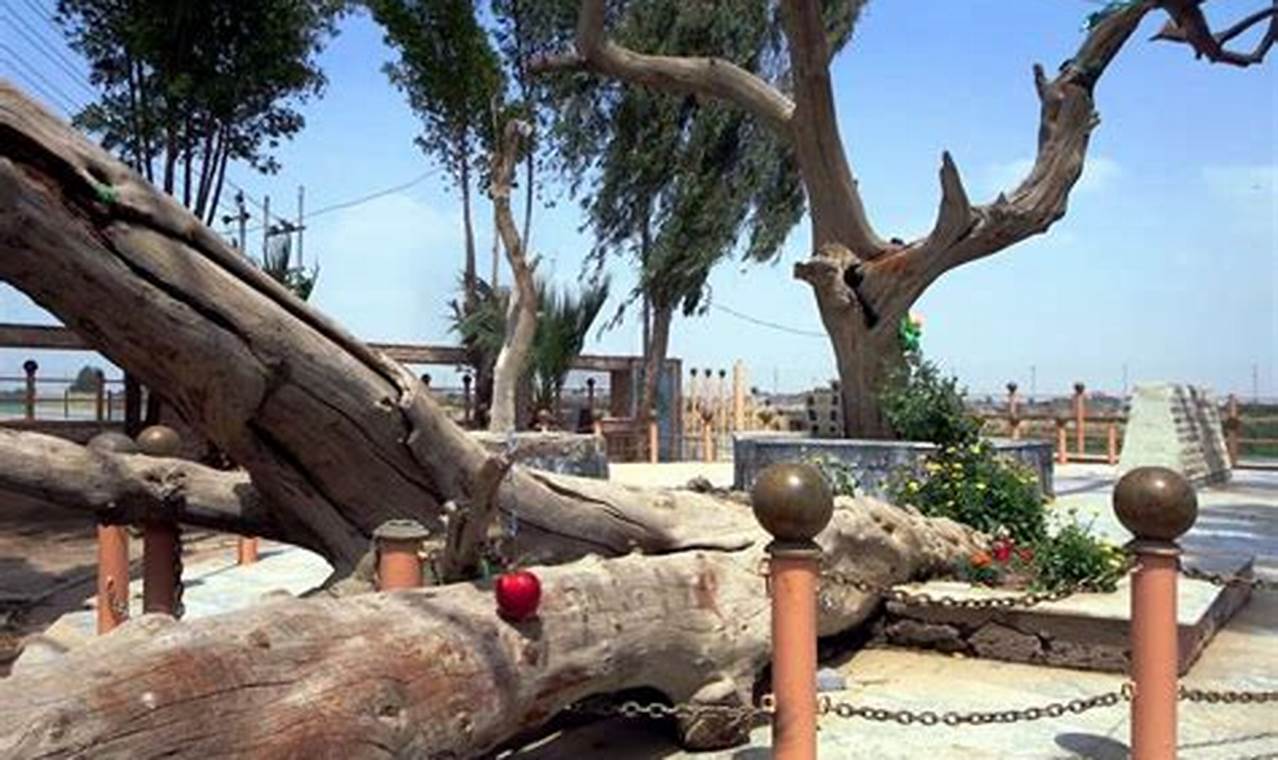 Unveiling Iraq's Garden of Eden: History &amp; Hope | The Ultimate Gardening Guide: Grow a Thriving Garden Year-Round