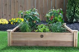 Your Salsa Garden: Grow, Harvest & Enjoy! | The Ultimate Gardening Guide: Grow a Thriving Garden Year-Round