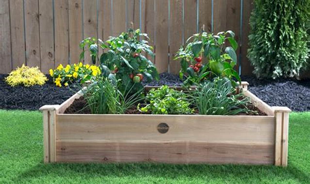 Your Salsa Garden: Grow, Harvest & Enjoy! | The Ultimate Gardening Guide: Grow a Thriving Garden Year-Round