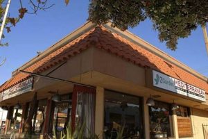 Visit Z Garden Santa Monica: A Coastal Oasis! The Ultimate Gardening Guide: Grow a Thriving Garden Year-Round Visit Z Garden Santa Monica: A Coastal Oasis! | The Ultimate Gardening Guide: Grow a Thriving Garden Year-Round