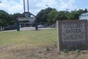Visit: Collins Garden Library San Antonio TX A Green Oasis | The Ultimate Gardening Guide: Grow a Thriving Garden Year-Round