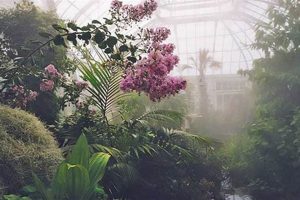 Create a Lush Humidity Garden Hill Oasis + Tips The Ultimate Gardening Guide: Grow a Thriving Garden Year-Round Create a Lush Humidity Garden Hill Oasis + Tips | The Ultimate Gardening Guide: Grow a Thriving Garden Year-Round