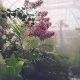 Create a Lush Humidity Garden Hill Oasis + Tips | The Ultimate Gardening Guide: Grow a Thriving Garden Year-Round