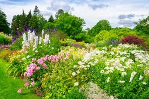 Unlock Your Fertile Garden: Tips & Secrets The Ultimate Gardening Guide: Grow a Thriving Garden Year-Round Unlock Your Fertile Garden: Tips & Secrets | The Ultimate Gardening Guide: Grow a Thriving Garden Year-Round