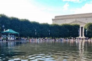 Enjoy Free Jazz: Jazz in the Garden, Washington DC! The Ultimate Gardening Guide: Grow a Thriving Garden Year-Round Enjoy Free Jazz: Jazz in the Garden, Washington DC! | The Ultimate Gardening Guide: Grow a Thriving Garden Year-Round