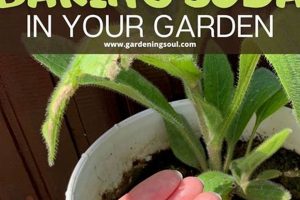 Baking Soda in Garden: Secrets &amp; Easy Tips! | The Ultimate Gardening Guide: Grow a Thriving Garden Year-Round