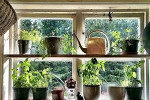 Grow Your Own: Garden Window Herb Garden Guide The Ultimate Gardening Guide: Grow a Thriving Garden Year-Round Grow Your Own: Garden Window Herb Garden Guide | The Ultimate Gardening Guide: Grow a Thriving Garden Year-Round