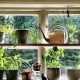 Grow Your Own: Garden Window Herb Garden Guide | The Ultimate Gardening Guide: Grow a Thriving Garden Year-Round