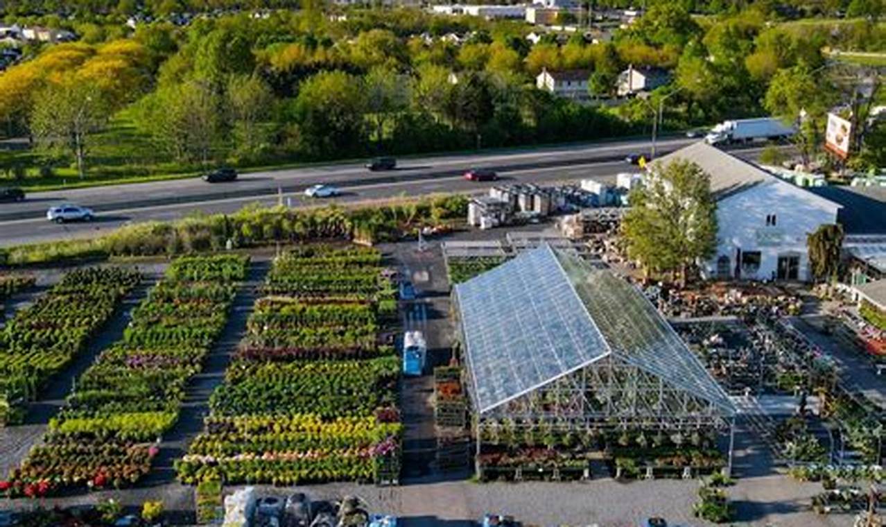 Your Guide: Best Garden Centers in Lehigh Valley Near You | The Ultimate Gardening Guide: Grow a Thriving Garden Year-Round
