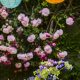 Garden Party Decorations: Tips & Ideas For Outdoor Bliss | The Ultimate Gardening Guide: Grow a Thriving Garden Year-Round
