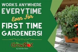 Grow Your Own: The Garden Patch Guide & Tips | The Ultimate Gardening Guide: Grow a Thriving Garden Year-Round
