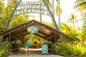 Garden Luau: Smith Family Reviews & Tips [2024] | The Ultimate Gardening Guide: Grow a Thriving Garden Year-Round