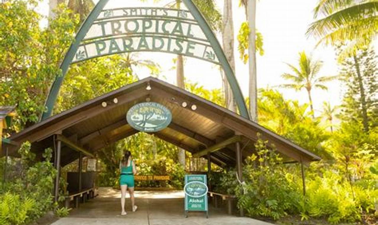 Garden Luau: Smith Family Reviews & Tips [2024] | The Ultimate Gardening Guide: Grow a Thriving Garden Year-Round