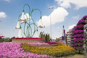 Create a Top Wonderful Garden: Ideas & Inspiration | The Ultimate Gardening Guide: Grow a Thriving Garden Year-Round