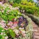 Elevated Summit Garden: Design & Flourish Tips | The Ultimate Gardening Guide: Grow a Thriving Garden Year-Round