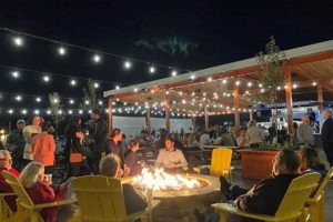 Your Erie, PA Beer Garden Guide: Sip &amp; Savor! | The Ultimate Gardening Guide: Grow a Thriving Garden Year-Round