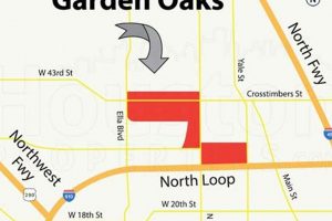 Living in Garden Oaks, Houston TX: Your Complete Guide | The Ultimate Gardening Guide: Grow a Thriving Garden Year-Round