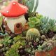 Succulent Fairy Garden | The Ultimate Gardening Guide: Grow a Thriving Garden Year-Round