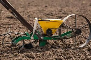 Top-Rated Best Garden Seeder: Planting Made Easy! | The Ultimate Gardening Guide: Grow a Thriving Garden Year-Round