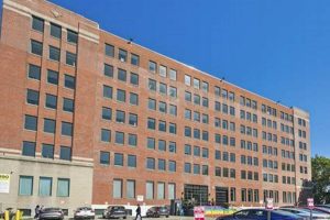 Your Guide to 199 Spring Garden Location Info | The Ultimate Gardening Guide: Grow a Thriving Garden Year-Round